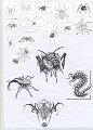 Animali 045